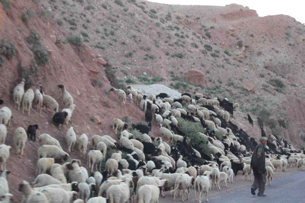 Imdiazene 巴比伦达德斯旅舍旅舍 外观 照片